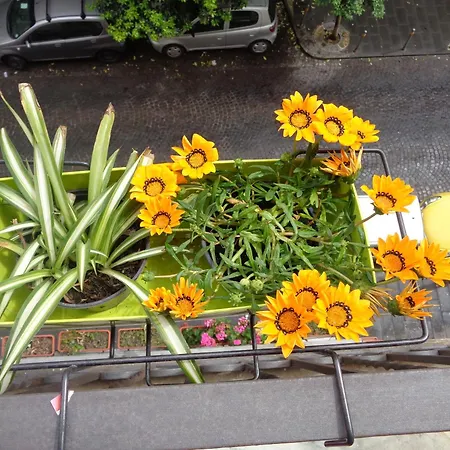 Casa Prilla Metro Materdei Nápoles