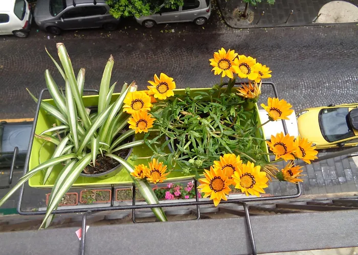 Casa Prilla Metro Materdei Nápoles